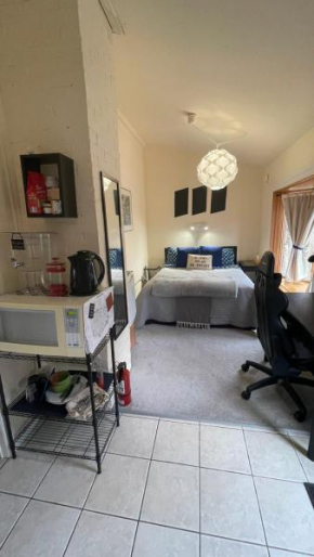 Private Suite near Skeleton Park